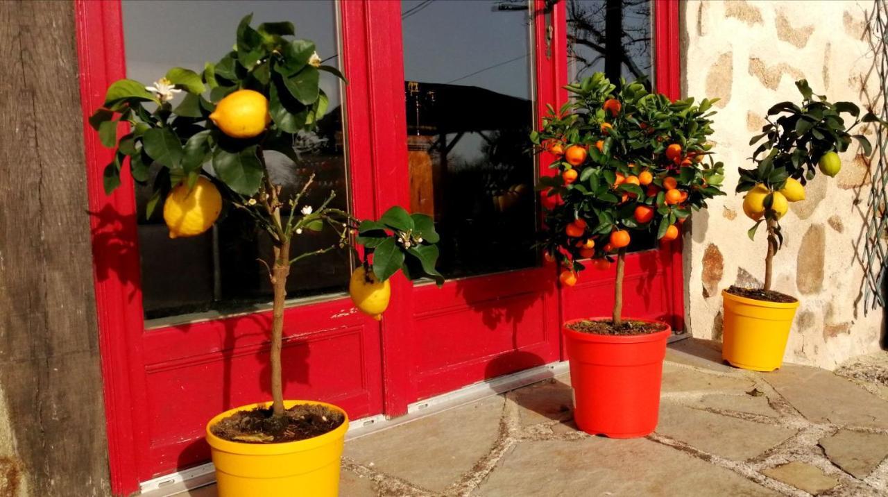 La Grange Ancienne Bed & Breakfast Montrollet Екстериор снимка